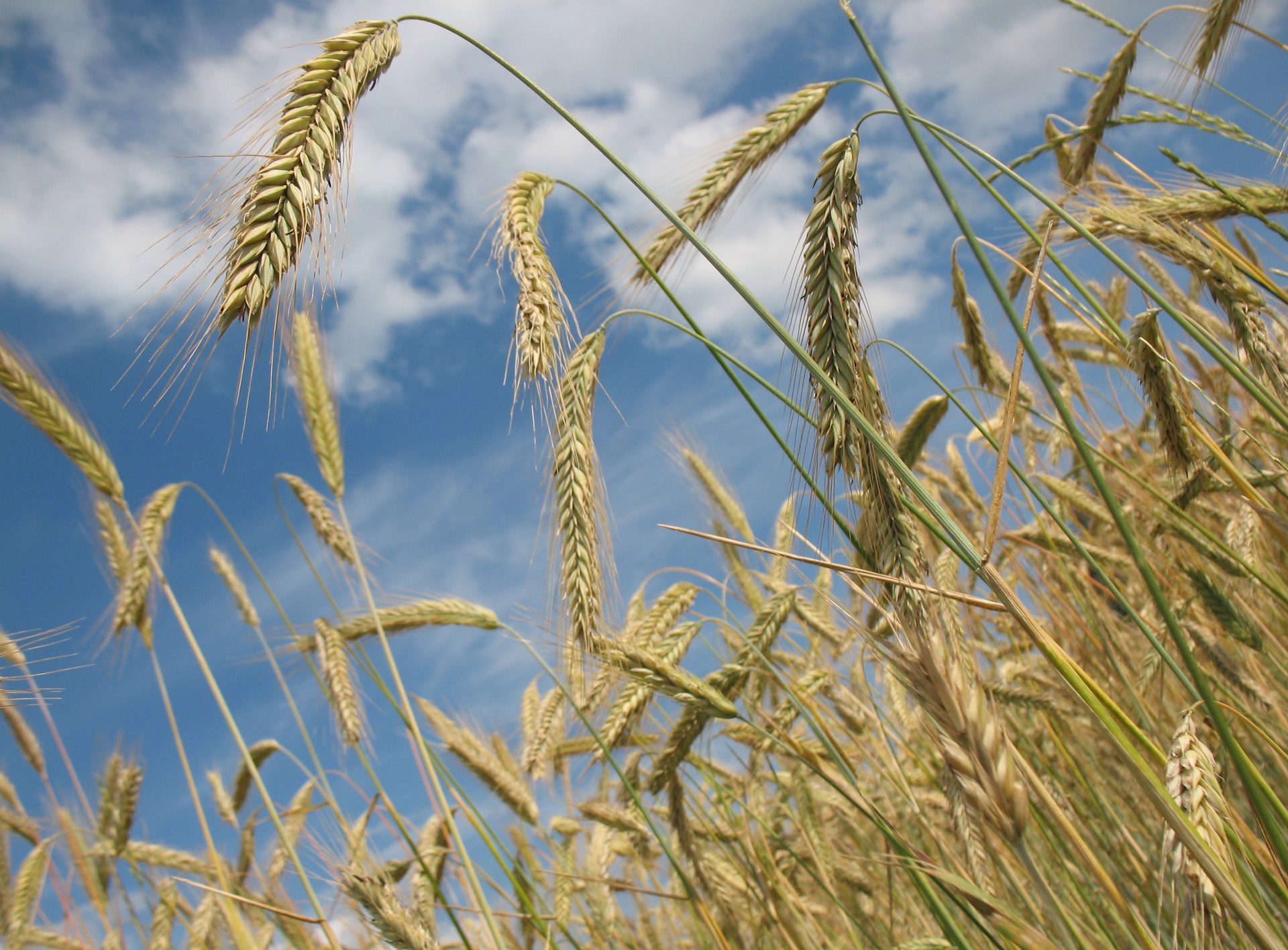 Landschaftliche Highlights